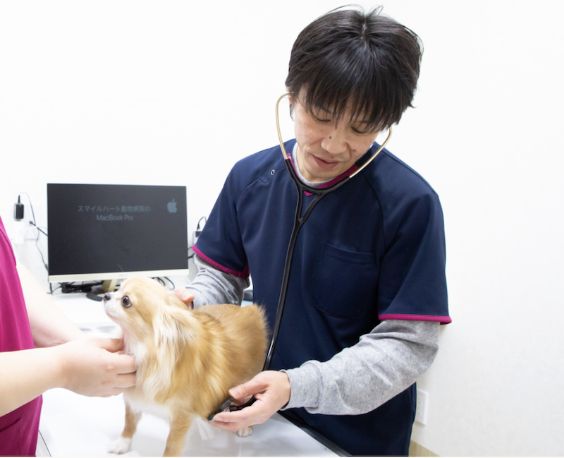 愛犬の「洗いすぎ」に気づいた日から始まった、EMARA for petsの物語