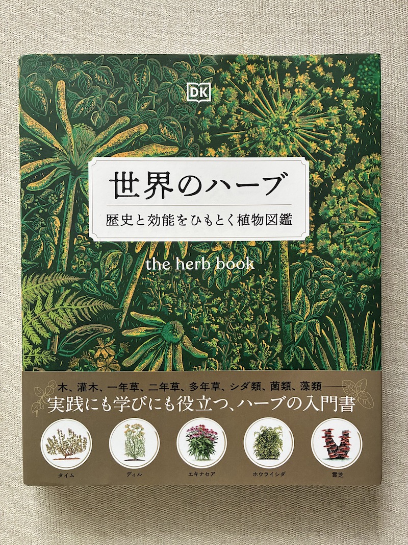 ハーブって何？ユカさんと学ぶ〜トウキンセンカ〜